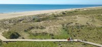 ecosyst&egrave;me plage