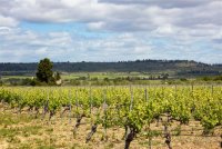Domaine St Georges le Cardinelles Nissan lez Enserunnes © herve leclair / aspheries.com