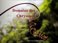 Domaine des Chrysopes © Bourret