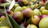 olives_flickr_8159035392_f17c38eaa8_b © Dom 