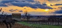 Domaine la Limbardi&egrave;re - OT AVANT MONTS 2022 &copy; RIVEMALE