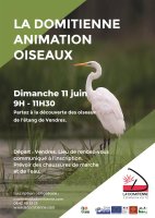 Animation Oiseaux 2023 © dom 