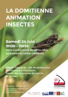 Animation Insectes 2023 © dom 