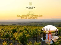 visuel balade dans les vignes paysage - 1 &copy; dom 