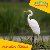 07-09 ANIM OISEAUX &copy; OT La Domitienne
