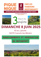 Affiche PiqNiq VI - D3A 2025 - 1 &copy; domaine 3 angles