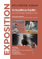 Exposition Aznar - 1 &copy; yole