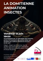 Animation-Insectes-20251-1-1086x1536 &copy; domitienne