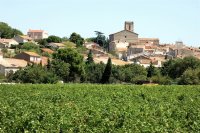 Vendres_et_vignes_1_ &copy; OT LA DOMITIENNE