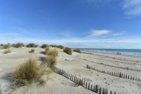 9372_531_illustration-herault-littoral &copy; 9372_531_illustration-herault-littoral