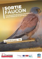 FAUCON &copy; DOM