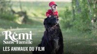 maxresdefault &copy; remi sans famille
