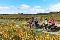 oenovelo-saint-chinian-au-canal-du-midi-vignoble-quarante-jerome-pelig-12466(1) &copy; OT la Domitienne