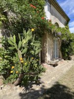 34G14807 - C&ocirc;t&eacute; Cour_6 &copy;Relai G&icirc;tes de France H&eacute;rault