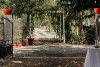 allee © Javier Medina